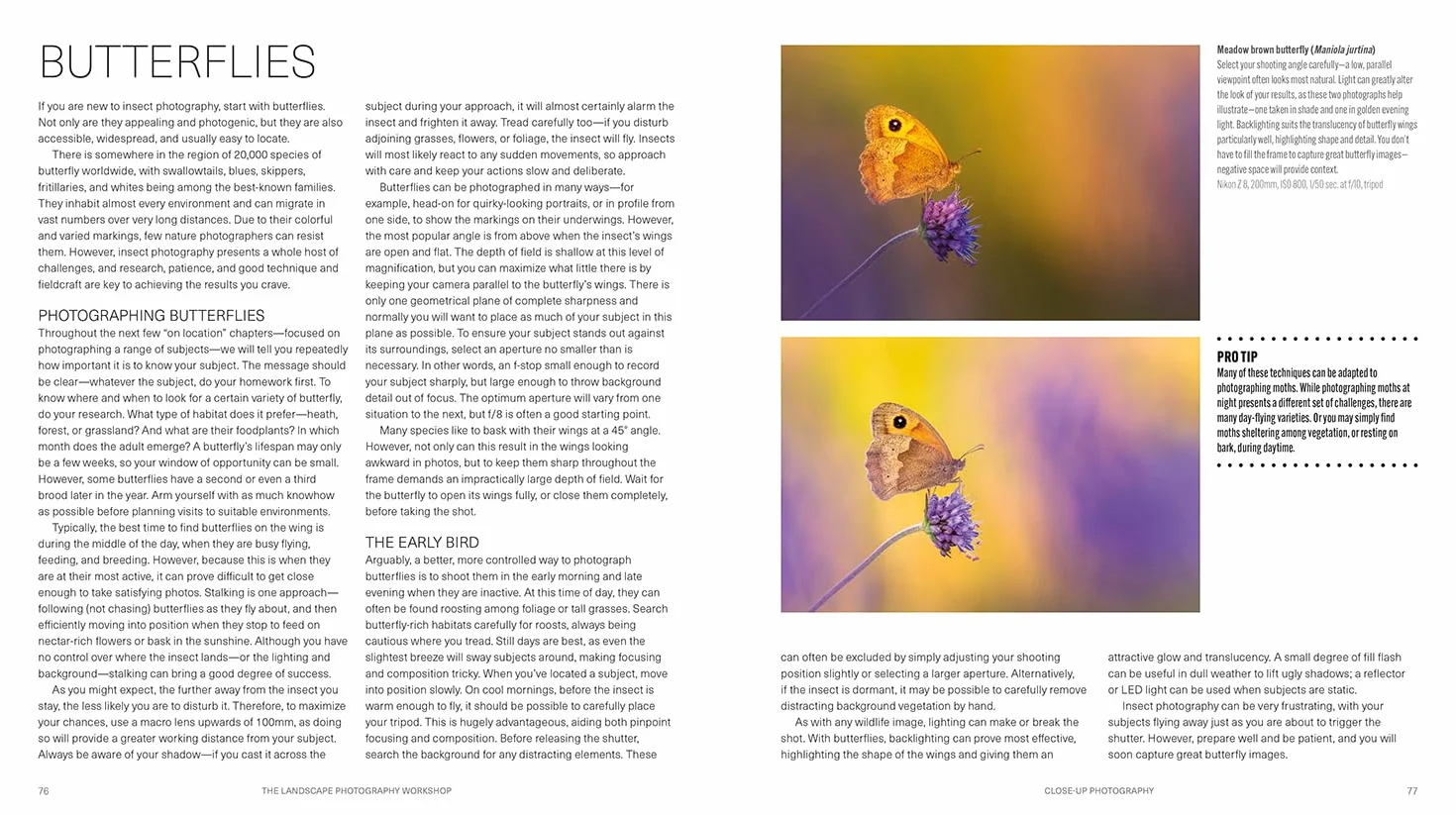The Wildlife Photography Workshop