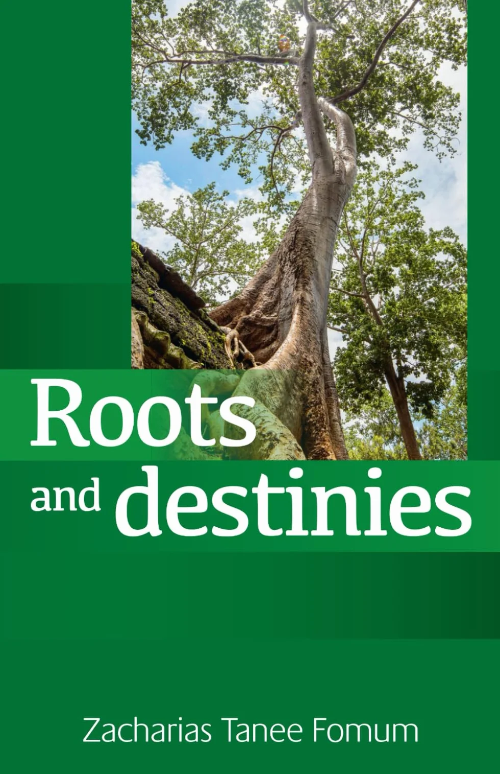 Roots and Destinies: Dealing With The Past; Determining The Future: 7