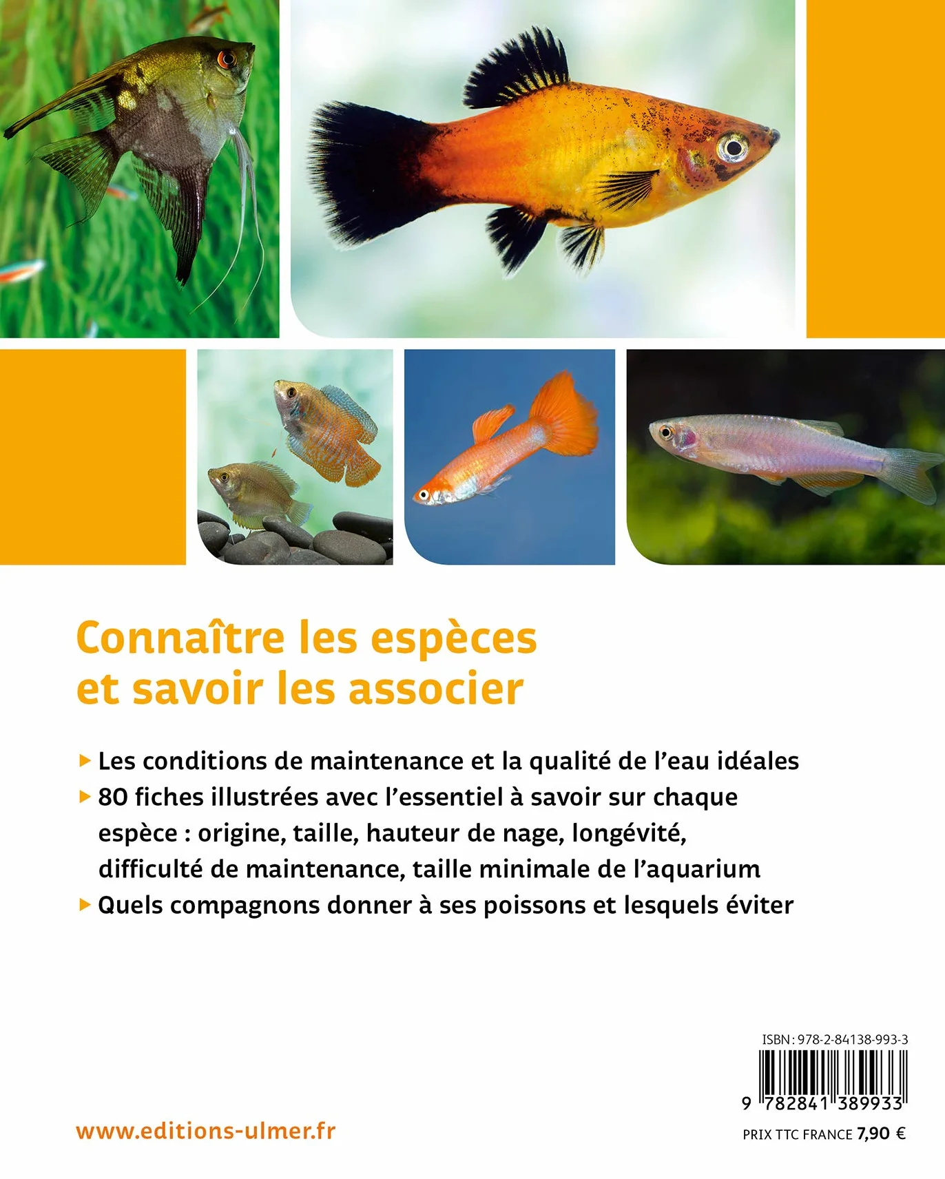 80 poissons exotiques: Les meilleures espèces pour aquarium d'eau douce