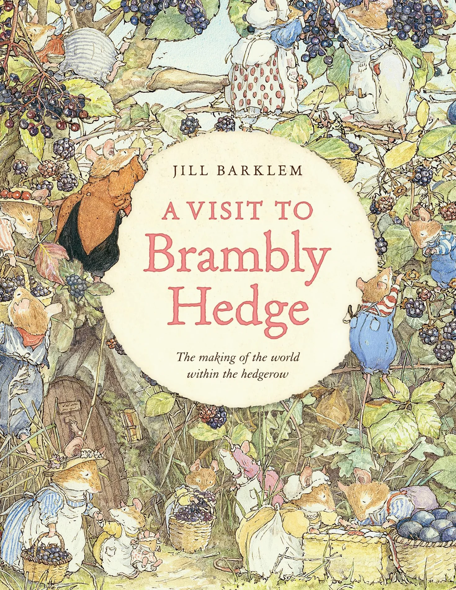 A Visit to Brambly Hedge: An illustrated companion to the world of Brambly Hedge, perfect for collectors and fans of Jill Barklem!