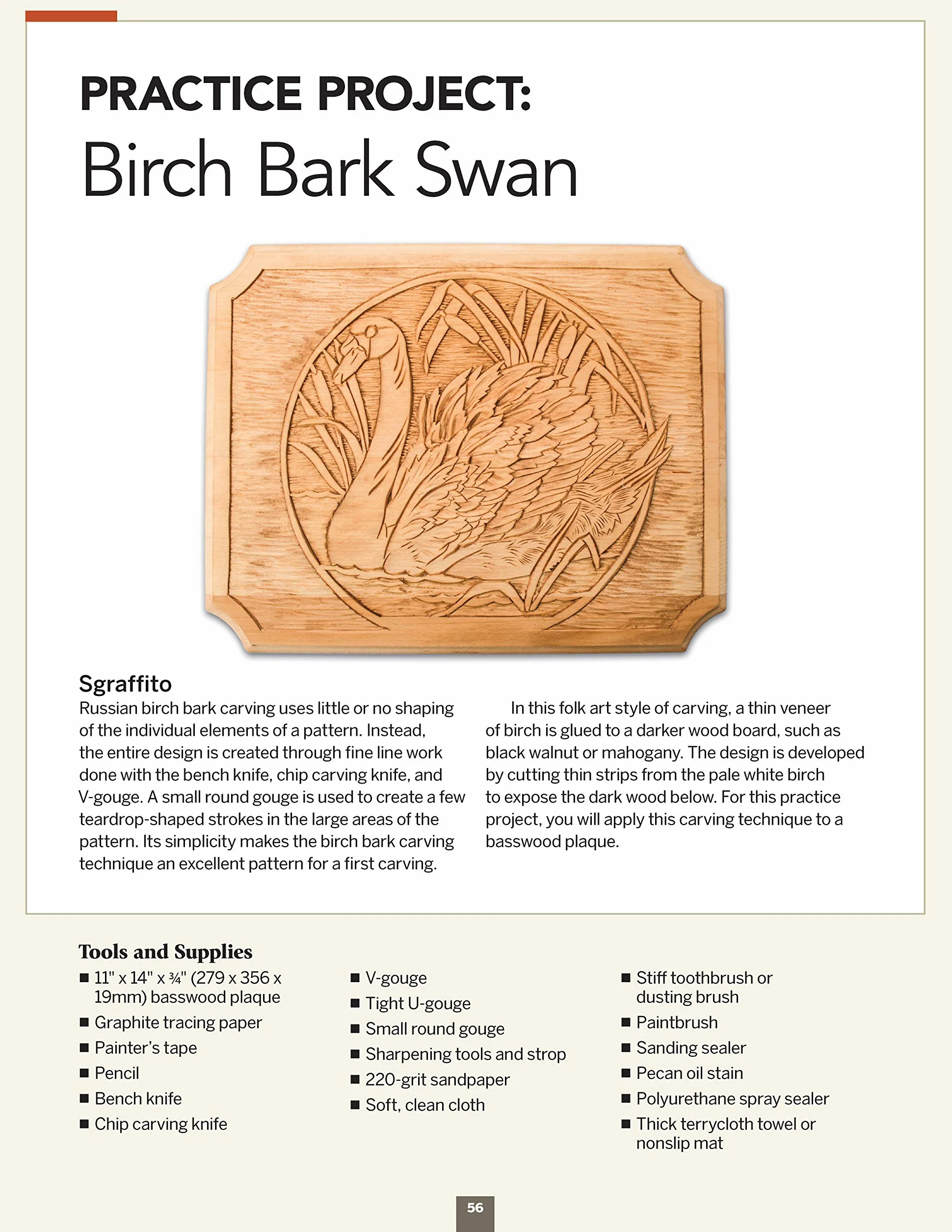 Relief Carving Workshop: Techniques, Projects & Patterns for the Beginner