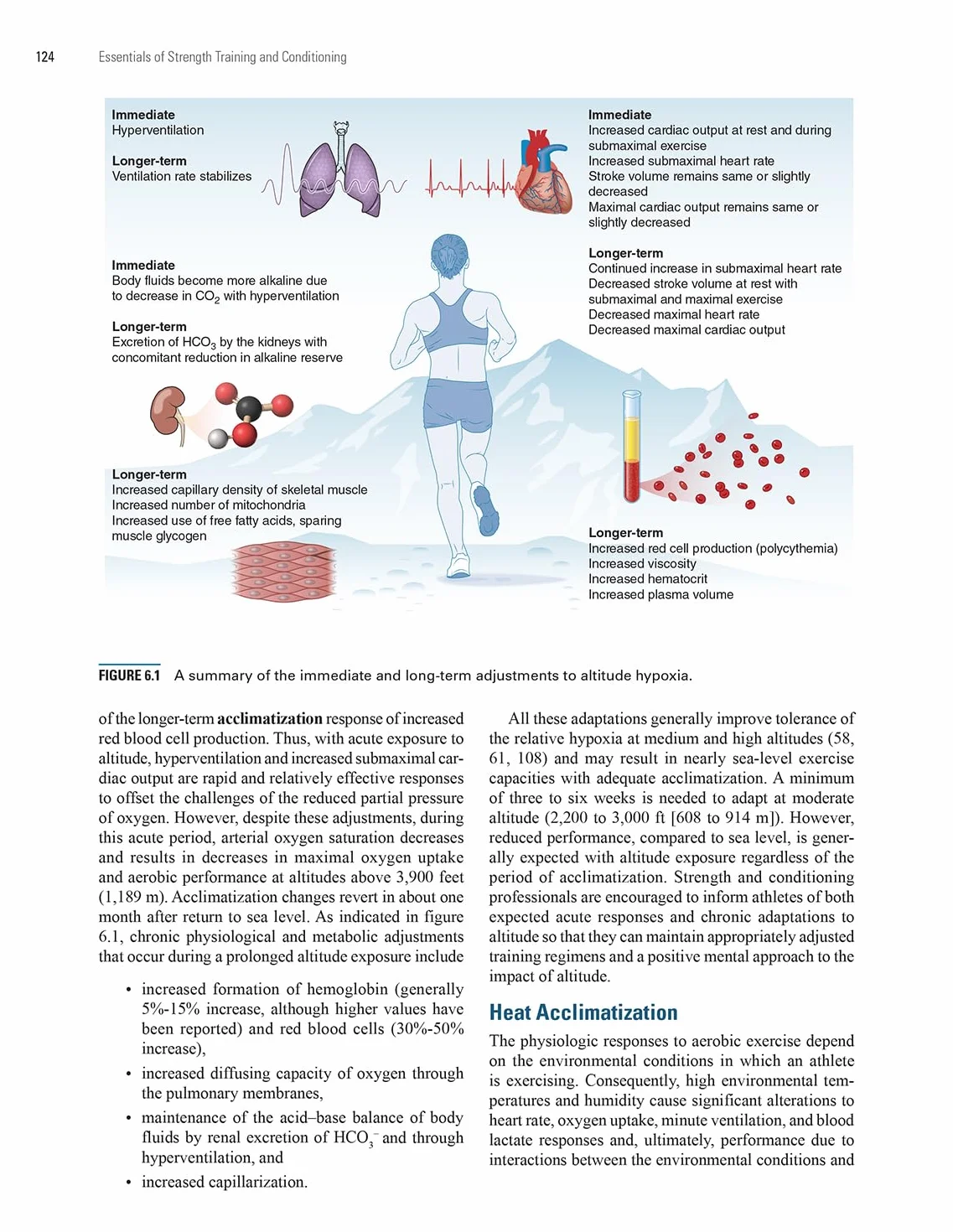 Essentials of Strength Training and Conditioning